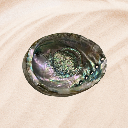 Abalone Shell β Sacred Smudging & Cleansing Rituals πβ¨