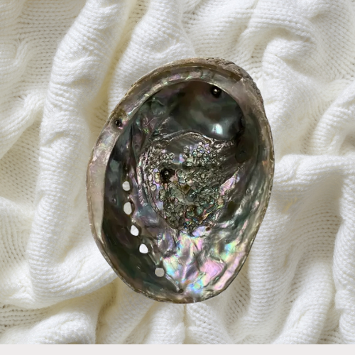 Sacred Abalone Shell