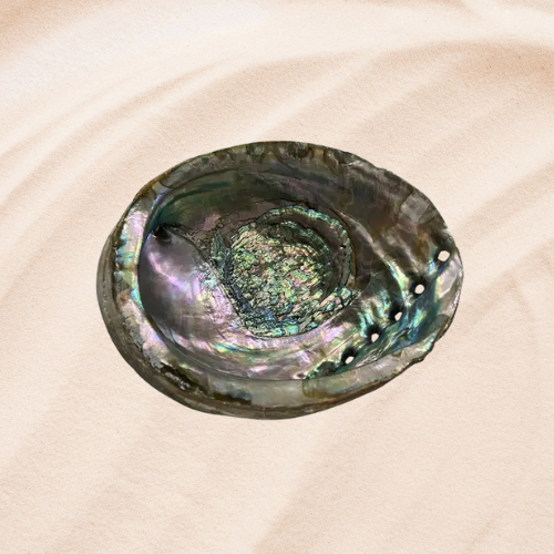 Sacred Abalone Shell